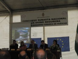 phoca_thumb_l_fotosnoviembre2012 2457